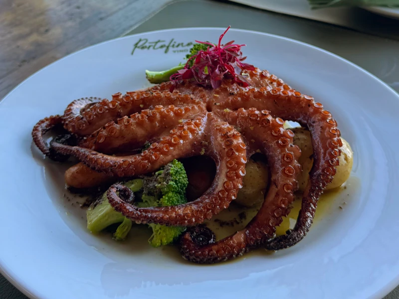 15. Polvo Braseado em Azeite