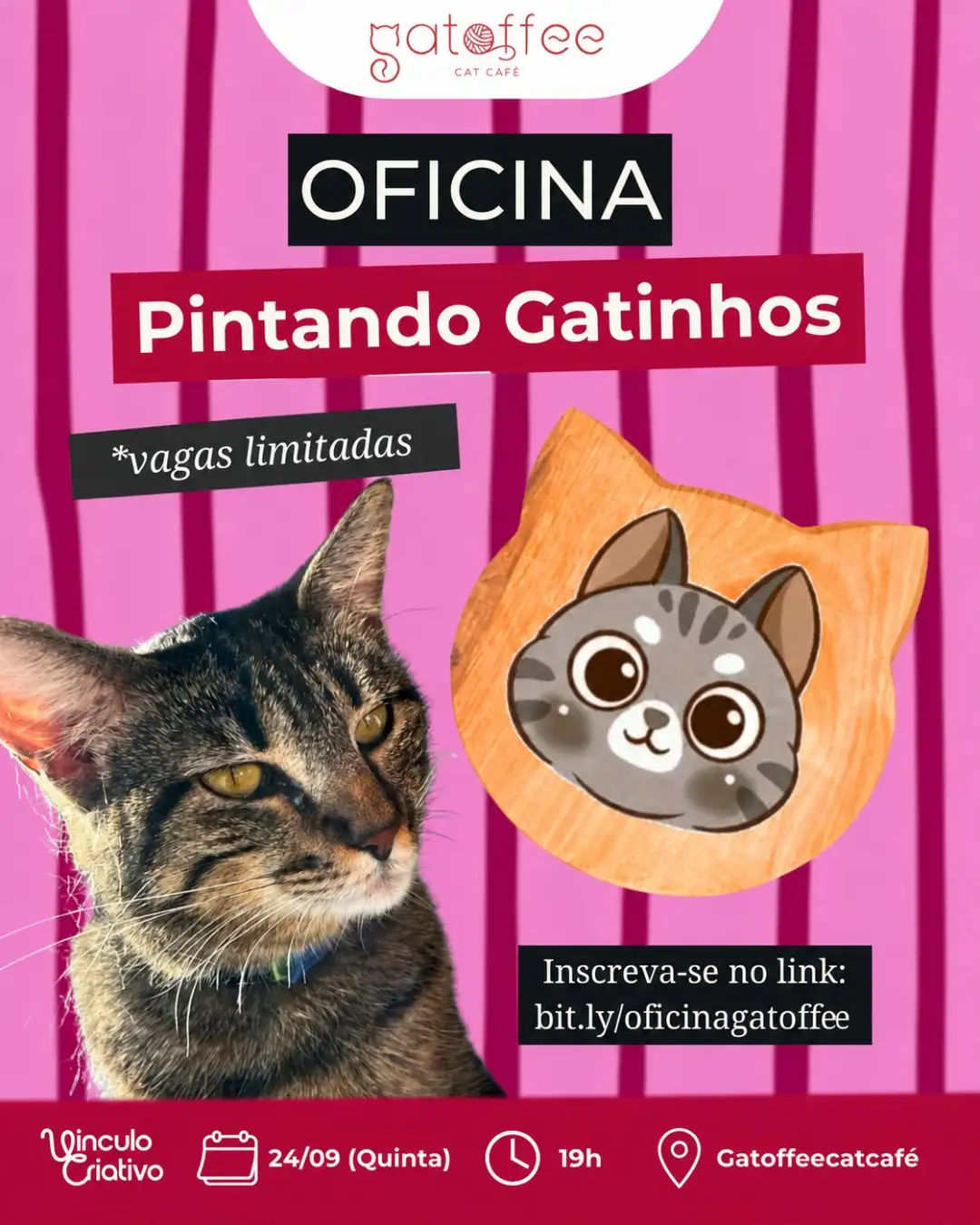 Pinte o Seu Gatinho com gatinhos