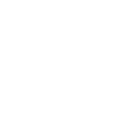 BudBasement