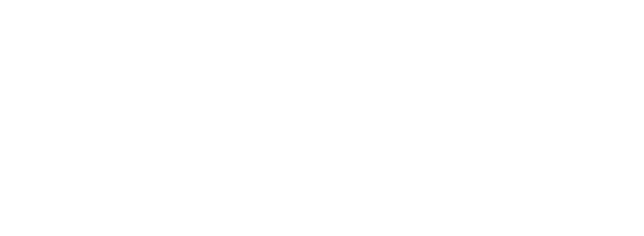 FerroSC