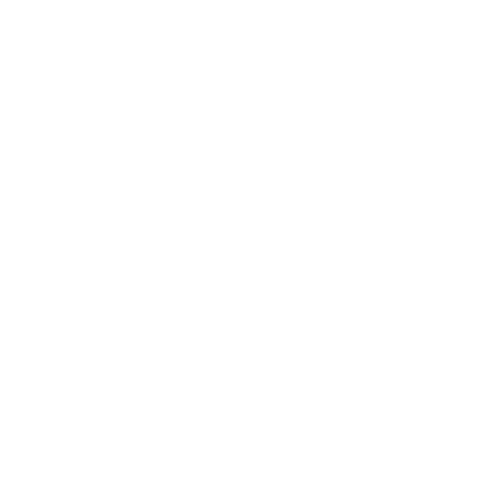 Festival Da Cerveja
