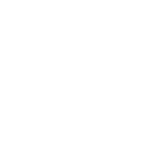 MisterChopp