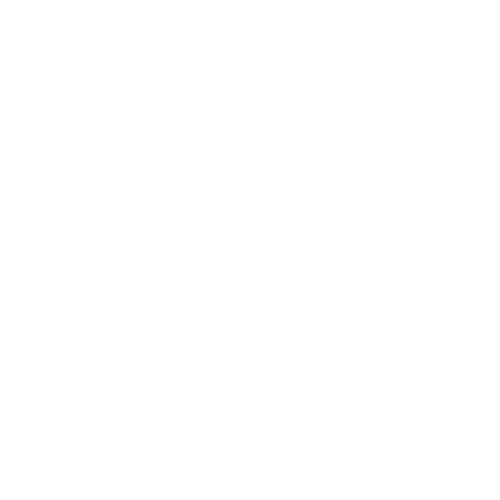 Patagonia