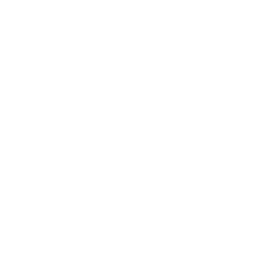 PetRun