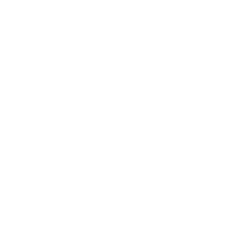 Salseiro