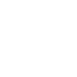 Sebrae