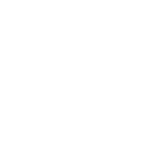 Village
